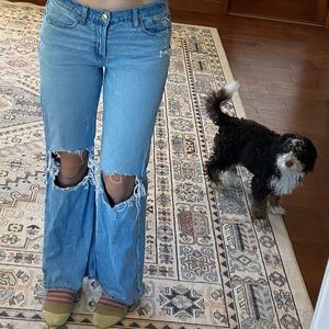 American Eagle Outfitters Light Blue Flare Jeans